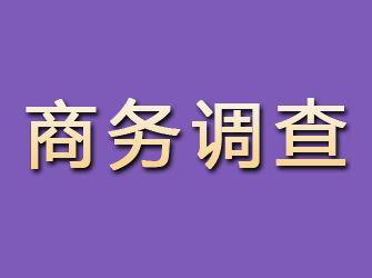 河北商务调查