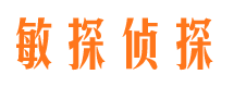 河北市私家侦探